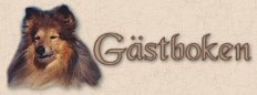 Gstboken