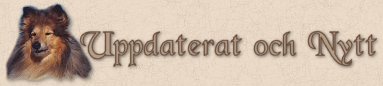 Uppdaterat